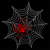 Red spider on gray web with four distinct poses against black background.