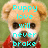 Pixelated image of a light brown dog wearing a red garment with cyan text overlay reading 'Puppy love will never broke' against a green background.