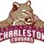 Pixelated cat face with greenish-brown fur and white markings above eyes, below nose, and on chest, overlaid with maroon banner reading "CHARLESTON" in blocky white letters.