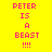 Pixelated text 'PETER IS A BEAST !!!!' in pink on yellow and green backgrounds with no visible animation changes.