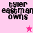 Pixelated text 'tyler eastman owns' on pink backgrounds with a small star symbol in two positions.