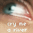 A pixelated close-up of a human eye with text overlays reading 'cry me a river', 'build a bridge', and 'and get over it' across four
