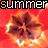 repeating flower-like icons with orange and brown petals on a red background, overlaid by horizontal bands of text reading "summer" in black and yellow lettering