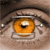 A close-up of a human eye with a golden-brown iris, black pupil, and visible eyelashes, set against a blurred background.