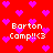 Red background with pink pixelated hearts and white text reading "Barton Camp!!<3" in four positions.