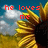 Pixelated sunflower with red text 'he loves me' on left and 'he loves me not' on right against blue sky background.