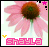 Pixelated pink coneflower with brown center, green stem base; two versions show text and symbol changes below flower.