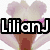 Pixelated image with text overlays: 'LilianJ' over a heart-shaped figure, 'is' over a heart pattern, and 'Cool!' over a flower field.