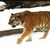 Animals icons for AIM, MSN, MySpace and Yahoo