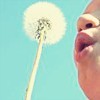 A close-up of a person's mouth and nose blowing on a dandelion against a light blue background.